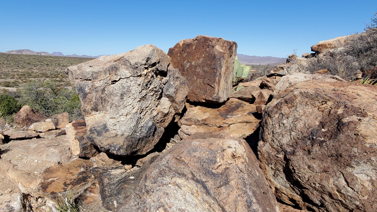 Lone Mountain Hike 